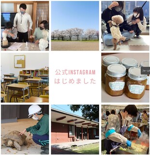 公式Instagramのお知らせ.jpg