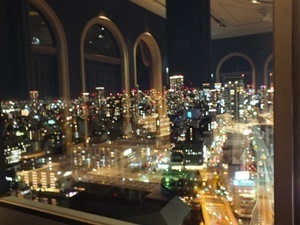 大阪の夜景.JPG